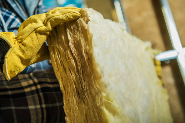 Best Insulation for New Construction  in Reynolds Heights, PA